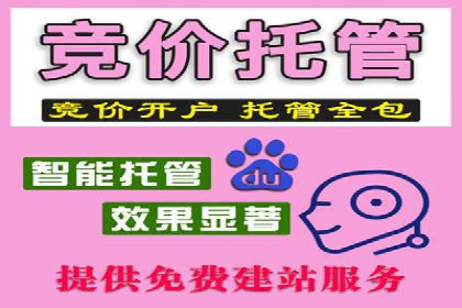 案例分享：SEM推广助力企业快速抢占市场